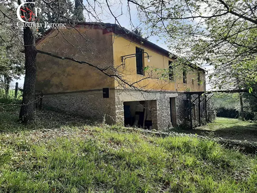 Immagine 1 di Rustico / casale in vendita  in via Fontevecchia snc a Casale Marittimo