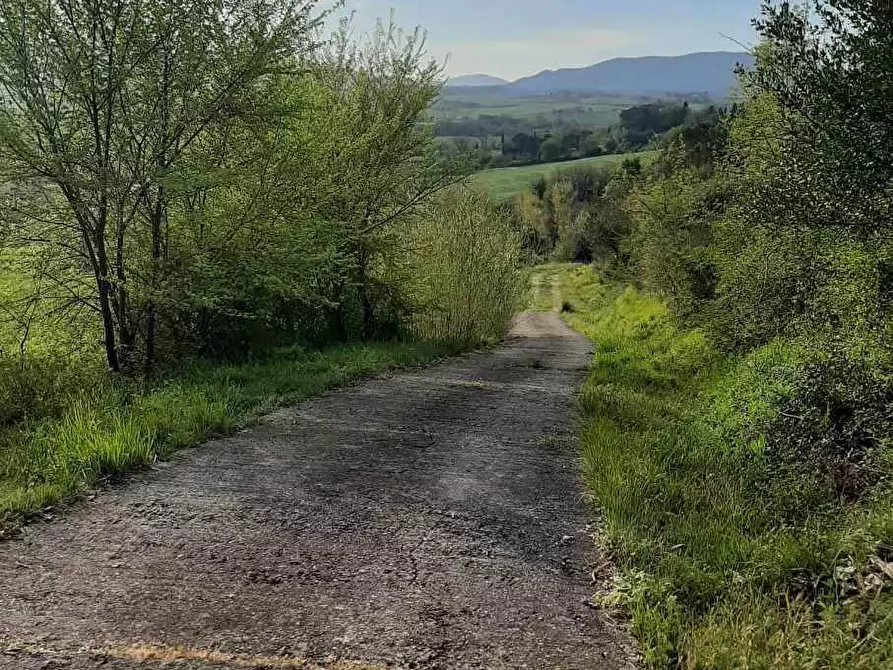 Immagine 52 di Rustico / casale in vendita  in via Fontevecchia snc a Casale Marittimo