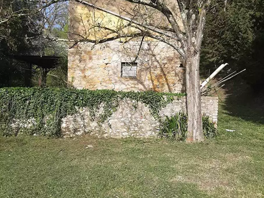 Immagine 6 di Rustico / casale in vendita  in via Fontevecchia snc a Casale Marittimo