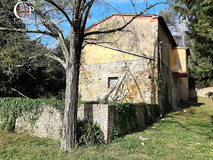 Immagine 5 di Rustico / casale in vendita  in via Fontevecchia snc a Casale Marittimo