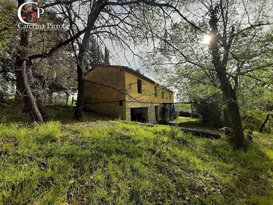 Immagine 7 di Rustico / casale in vendita  in via Fontevecchia snc a Casale Marittimo