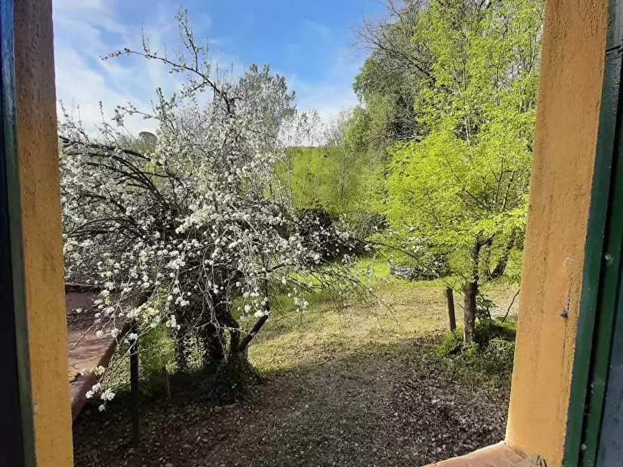 Immagine 10 di Rustico / casale in vendita  in via Fontevecchia snc a Casale Marittimo