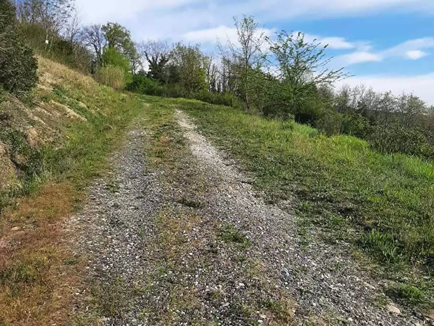 Immagine 53 di Rustico / casale in vendita  in via Fontevecchia snc a Casale Marittimo