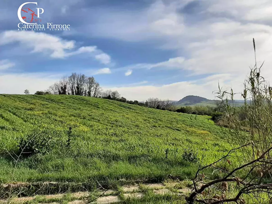 Immagine 54 di Rustico / casale in vendita  in via Fontevecchia snc a Casale Marittimo