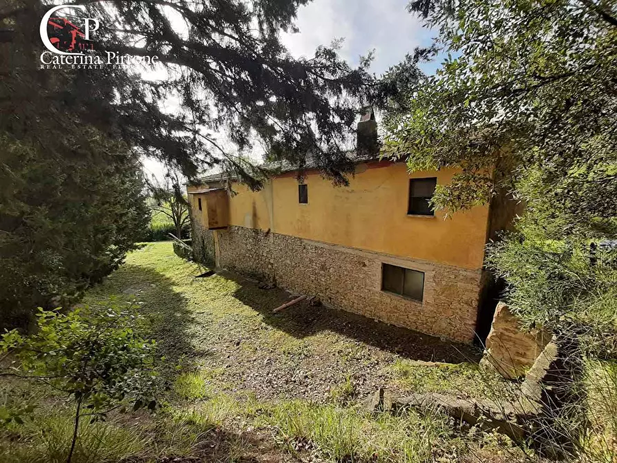 Immagine 9 di Rustico / casale in vendita  in via Fontevecchia snc a Casale Marittimo