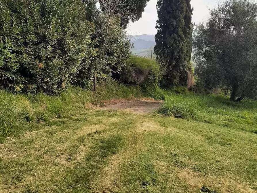 Immagine 55 di Rustico / casale in vendita  in via Fontevecchia snc a Casale Marittimo