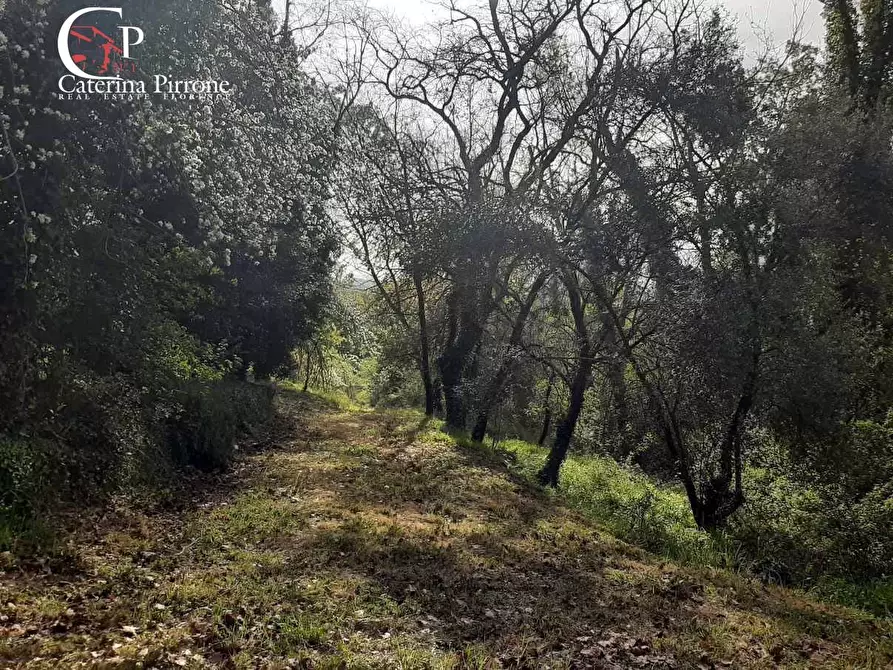 Immagine 56 di Rustico / casale in vendita  in via Fontevecchia snc a Casale Marittimo