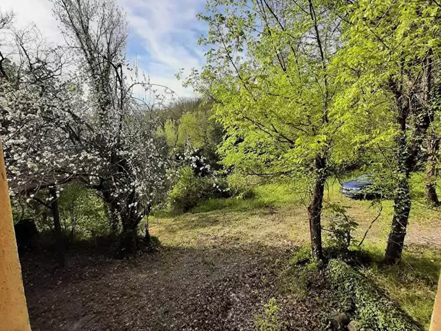 Immagine 12 di Rustico / casale in vendita  in via Fontevecchia snc a Casale Marittimo