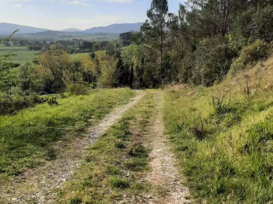Immagine 58 di Rustico / casale in vendita  in via Fontevecchia snc a Casale Marittimo