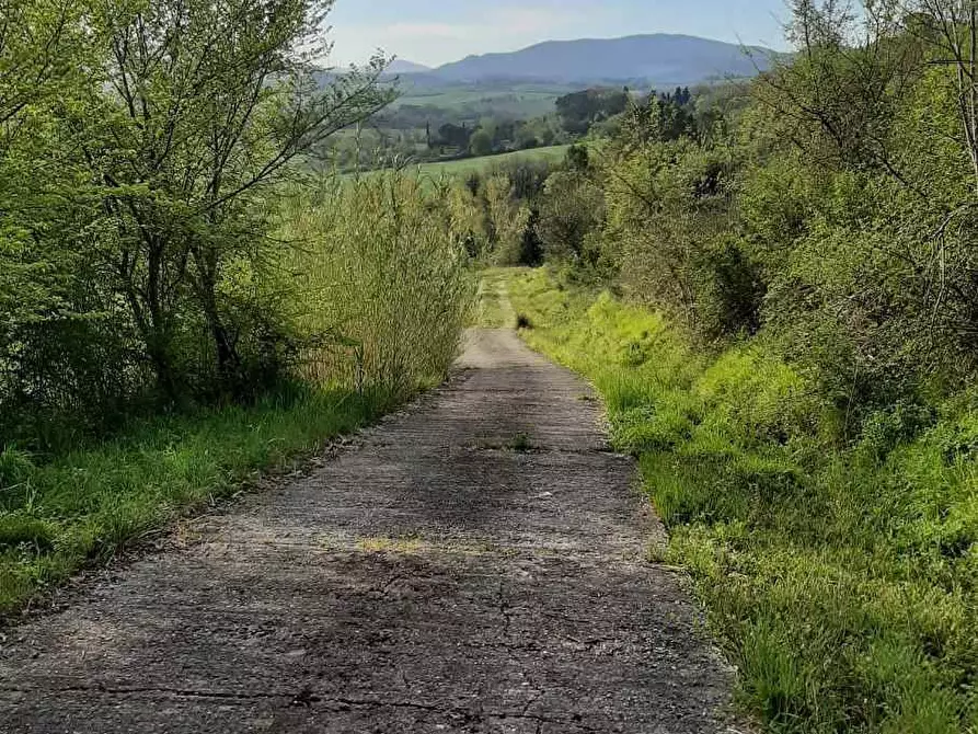 Immagine 59 di Rustico / casale in vendita  in via Fontevecchia snc a Casale Marittimo