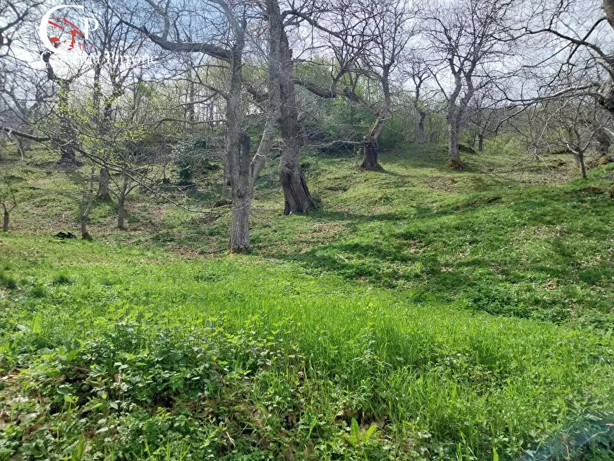 Immagine 17 di Rustico / casale in vendita  in località La Castellina 20 a Londa