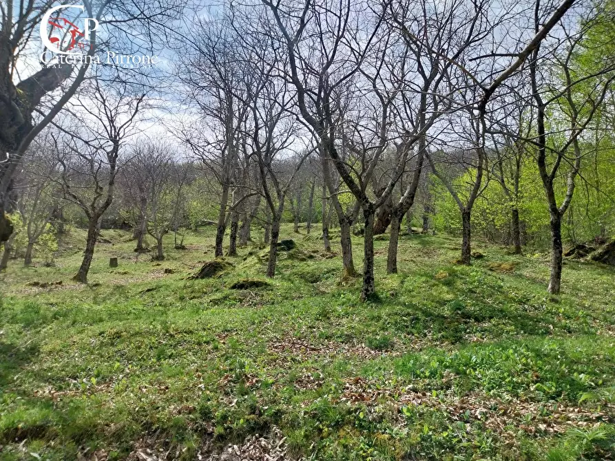 Immagine 18 di Rustico / casale in vendita  in località La Castellina 20 a Londa