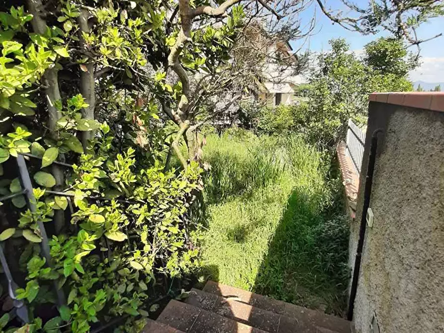 Immagine 5 di Casa indipendente in vendita  in via dell'Erbaio 10 a Casale Marittimo