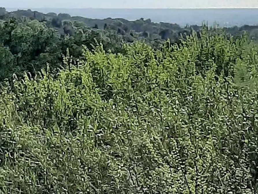 Immagine 15 di Casa indipendente in vendita  in via dell'Erbaio 10 a Casale Marittimo