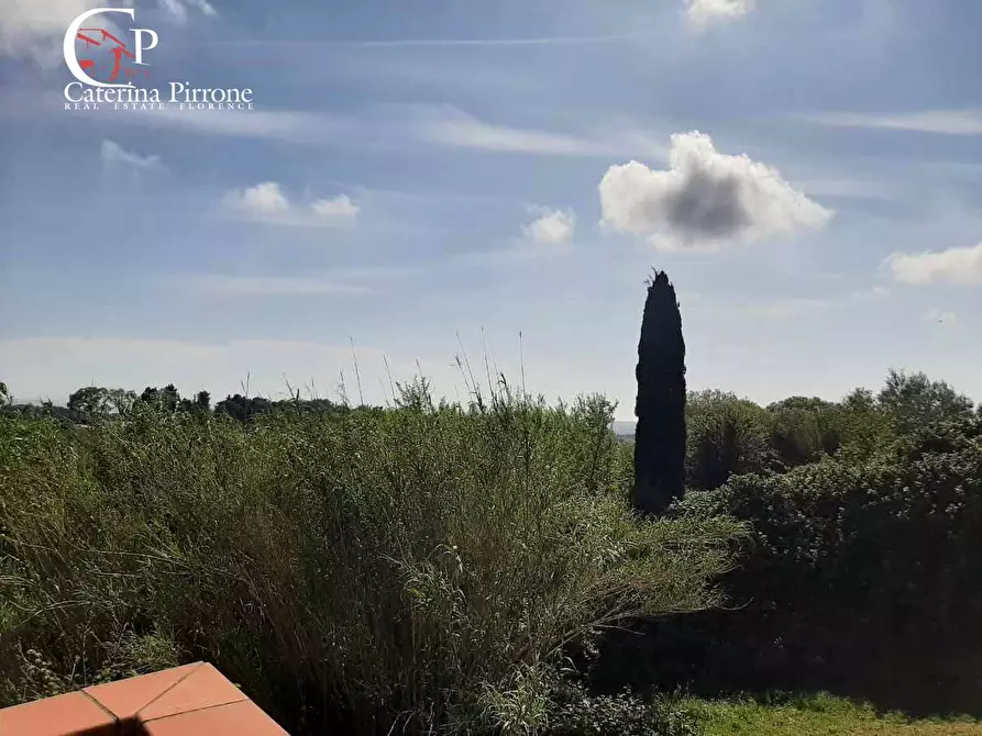 Immagine 25 di Casa indipendente in vendita  in via dell'Erbaio 10 a Casale Marittimo