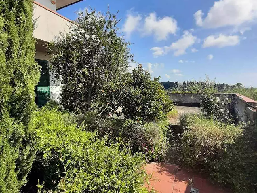 Immagine 20 di Casa indipendente in vendita  in via dell'Erbaio 10 a Casale Marittimo