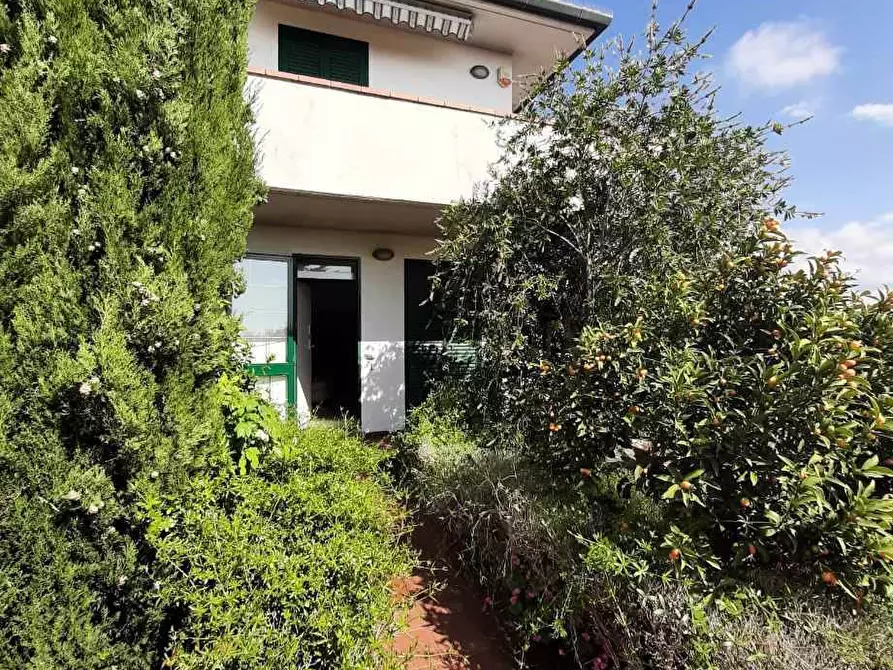 Immagine 19 di Casa indipendente in vendita  in via dell'Erbaio 10 a Casale Marittimo