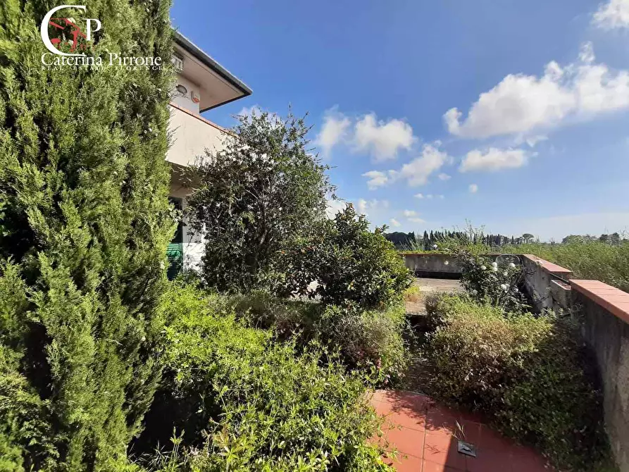 Immagine 22 di Casa indipendente in vendita  in via dell'Erbaio 10 a Casale Marittimo