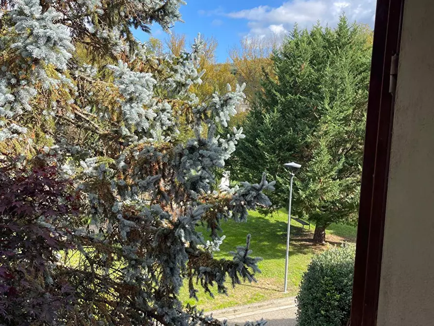 Immagine 21 di Villetta a schiera in vendita  in Via Arcangelo Giani 37 a Dicomano