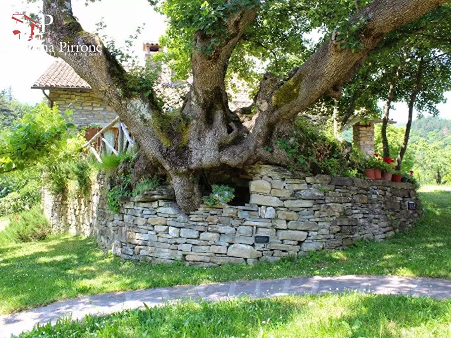 Immagine 10 di Agriturismo in vendita  in località Fantino 1 a Palazzuolo Sul Senio