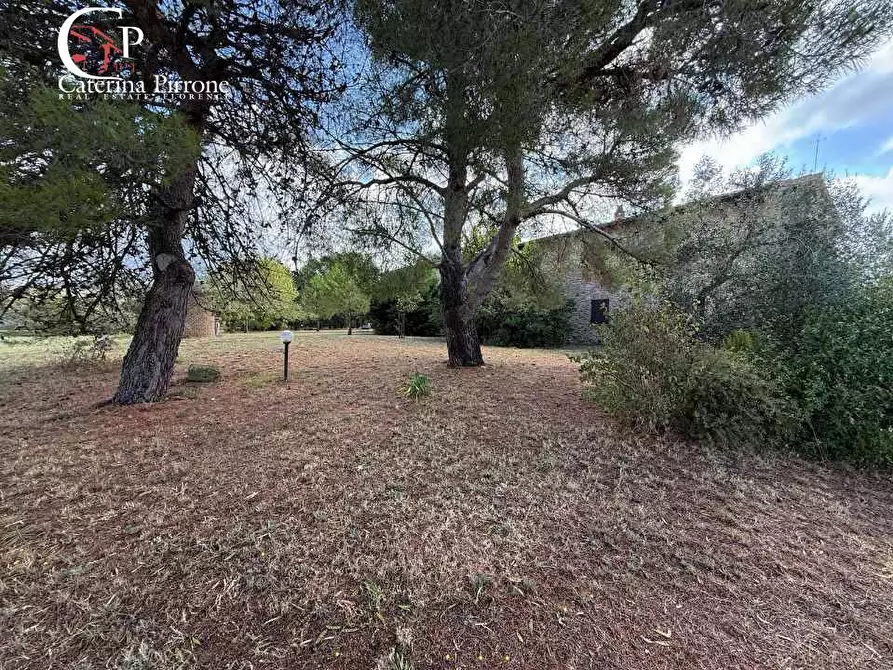 Immagine 23 di Villa in vendita  in via degli Allori 80 a Volterra