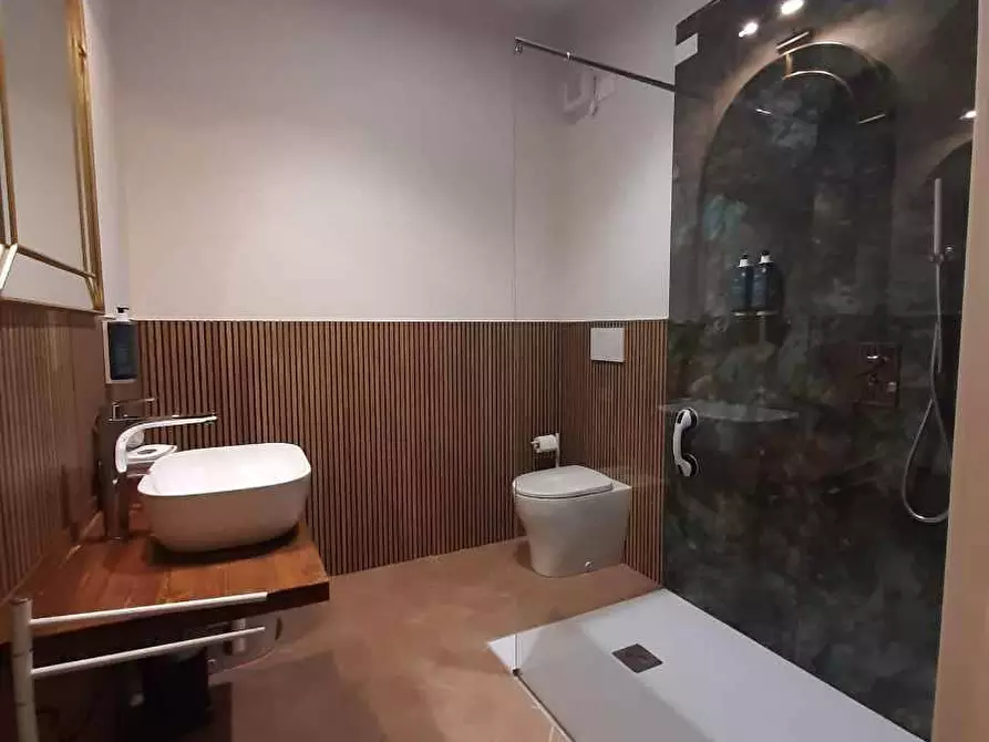 Immagine 45 di Albergo/B&B/Residence in vendita  in via del Poggio 59 a Castagneto Carducci