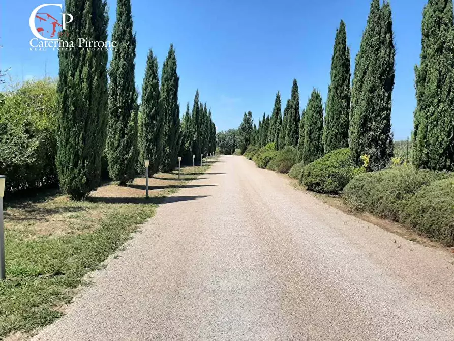 Immagine 59 di Albergo/B&B/Residence in vendita  in via del Poggio 59 a Castagneto Carducci