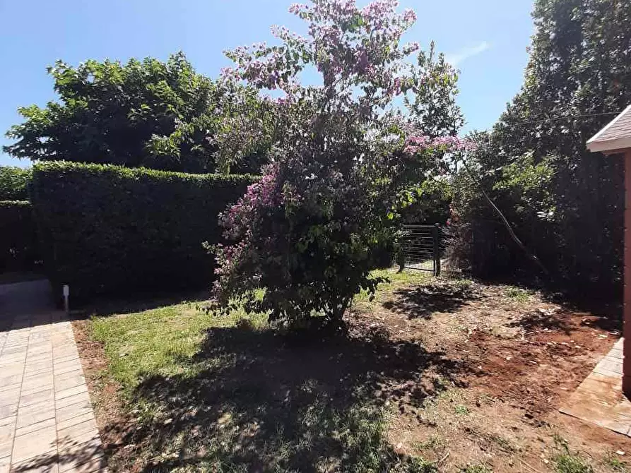 Immagine 55 di Albergo/B&B/Residence in vendita  in via del Poggio 59 a Castagneto Carducci