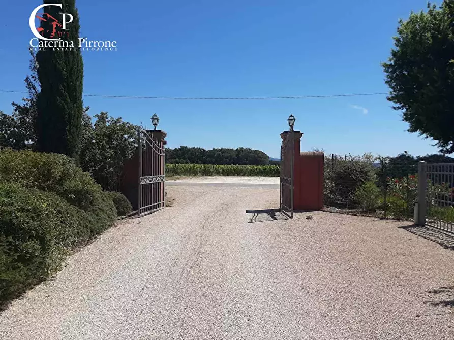 Immagine 60 di Albergo/B&B/Residence in vendita  in via del Poggio 59 a Castagneto Carducci