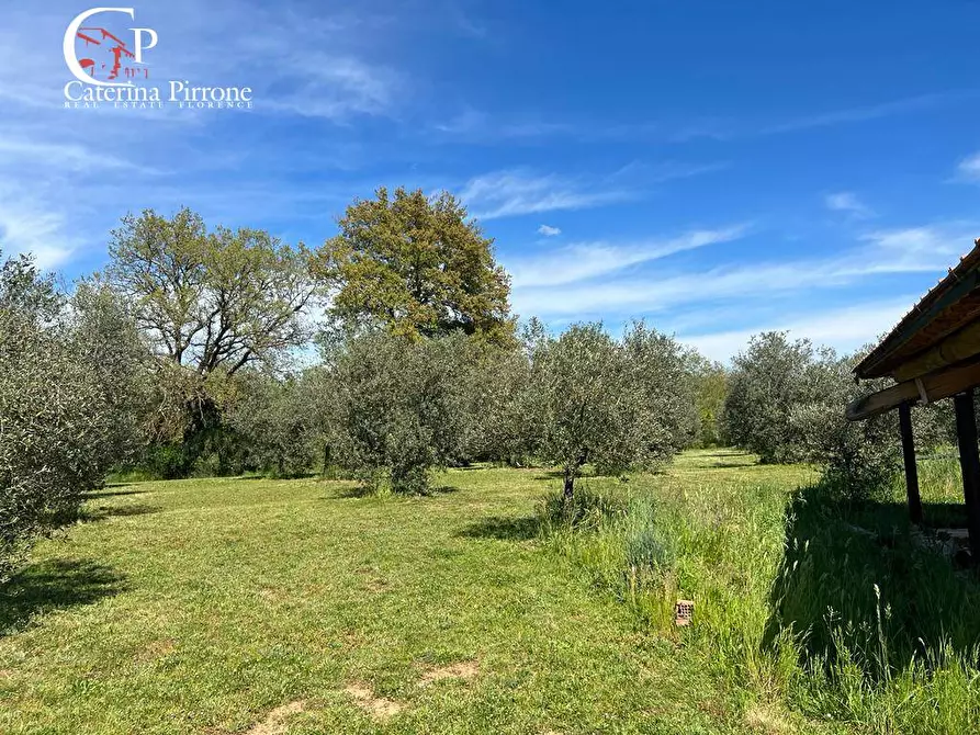 Immagine 4 di Villa in vendita  in strada provinciale Collacchia snc a Gavorrano