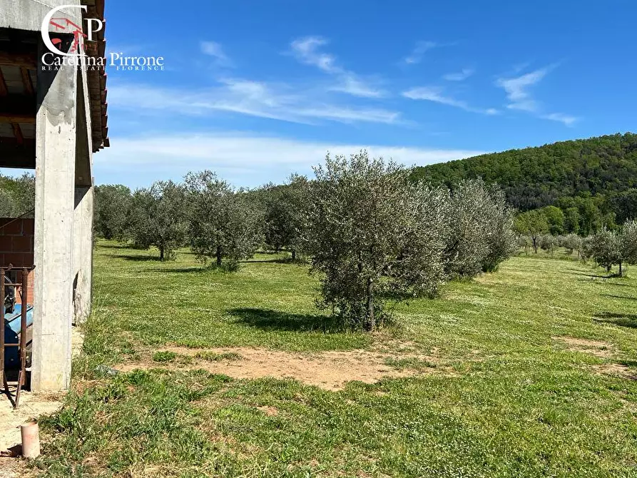 Immagine 8 di Villa in vendita  in strada provinciale Collacchia snc a Gavorrano