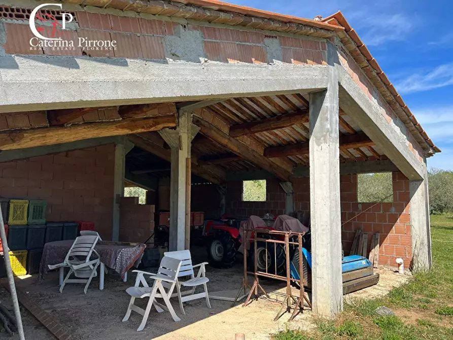 Immagine 5 di Villa in vendita  in strada provinciale Collacchia snc a Gavorrano