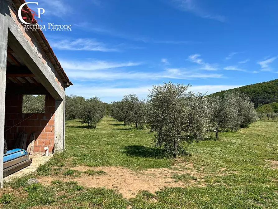 Immagine 9 di Villa in vendita  in strada provinciale Collacchia snc a Gavorrano