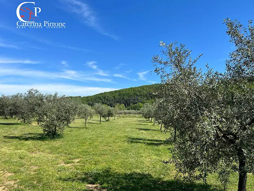 Immagine 10 di Villa in vendita  in strada provinciale Collacchia snc a Gavorrano