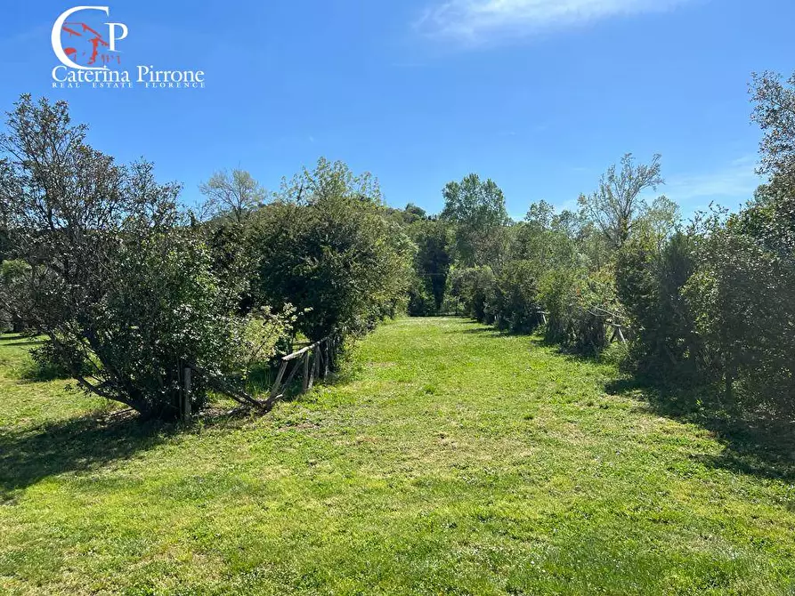 Immagine 14 di Villa in vendita  in strada provinciale Collacchia snc a Gavorrano
