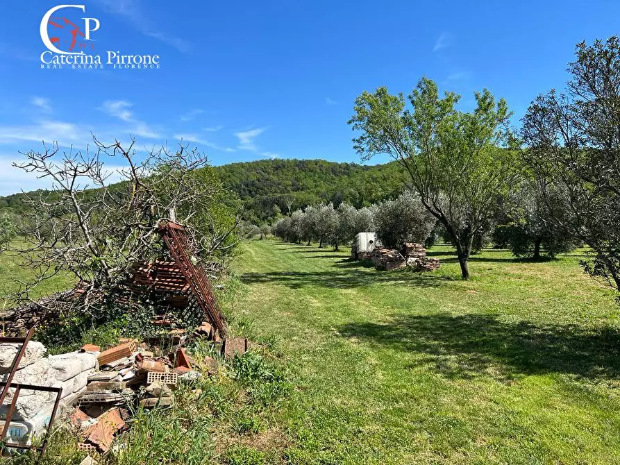 Immagine 15 di Villa in vendita  in strada provinciale Collacchia snc a Gavorrano