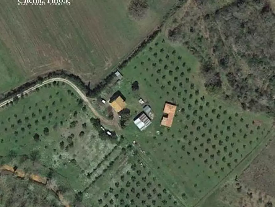 Immagine 2 di Villa in vendita  in strada provinciale Collacchia snc a Gavorrano