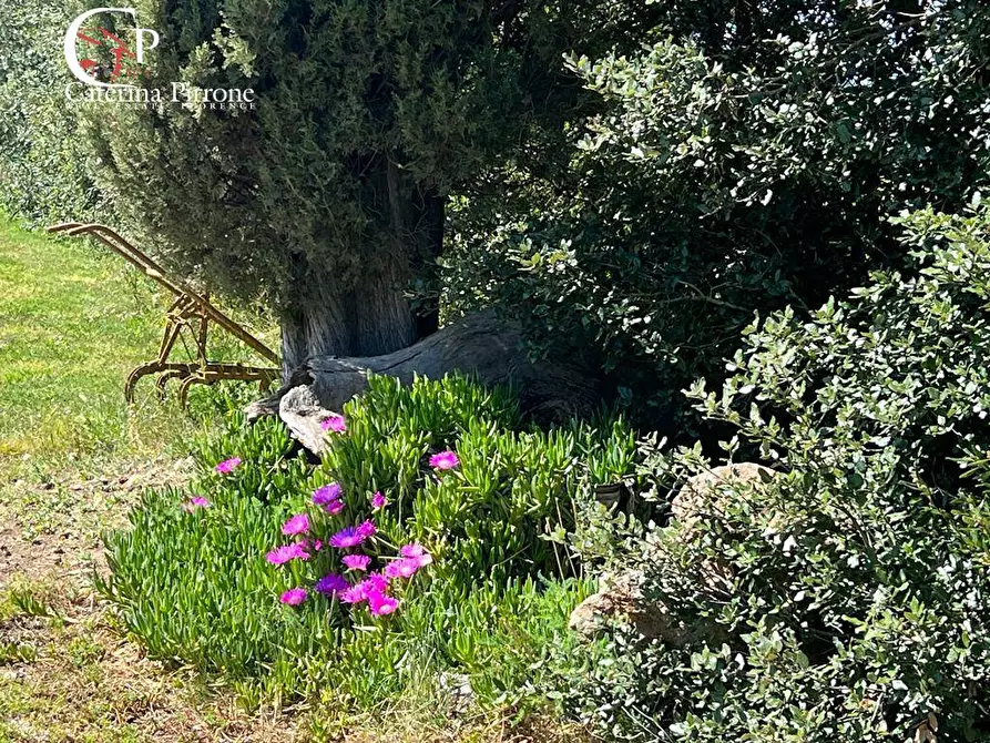 Immagine 16 di Villa in vendita  in strada provinciale Collacchia snc a Gavorrano