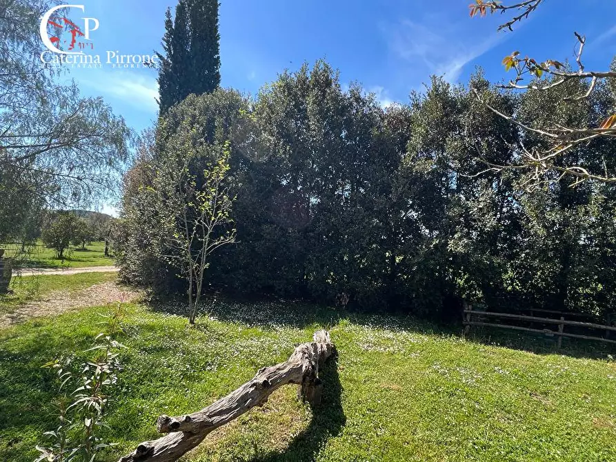 Immagine 17 di Villa in vendita  in strada provinciale Collacchia snc a Gavorrano