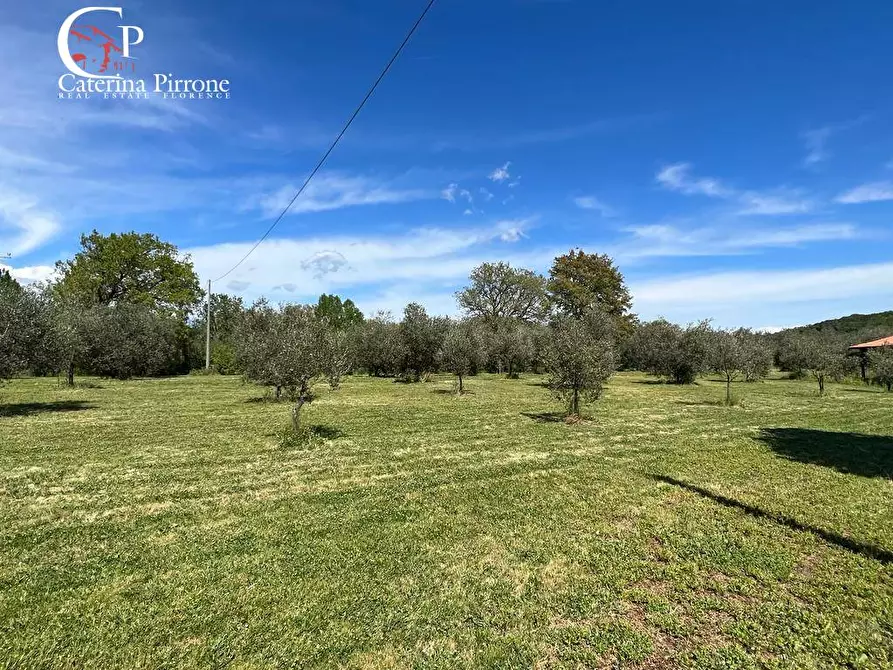 Immagine 20 di Villa in vendita  in strada provinciale Collacchia snc a Gavorrano