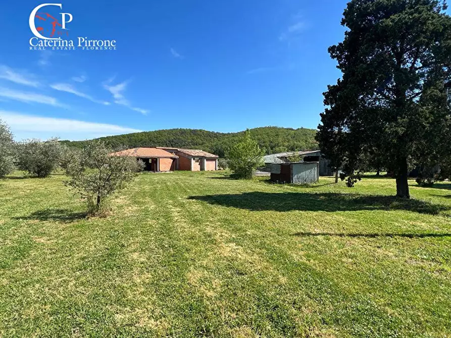 Immagine 23 di Villa in vendita  in strada provinciale Collacchia snc a Gavorrano