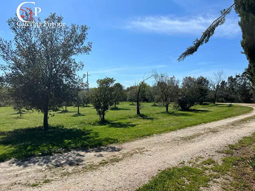 Immagine 25 di Villa in vendita  in strada provinciale Collacchia snc a Gavorrano