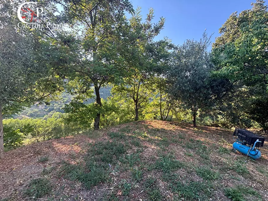 Immagine 48 di Appartamento in vendita  in Frazione Corella 64 a Dicomano