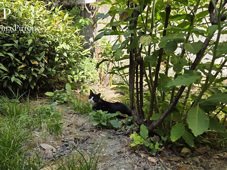 Immagine 41 di Appartamento in vendita  in Via Pasquale Villari 17 a Firenze