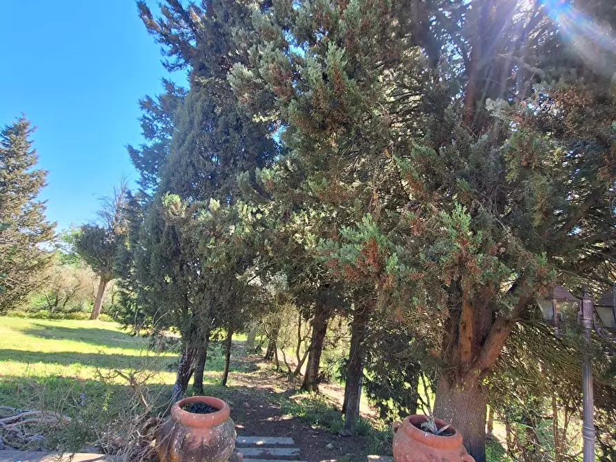 Immagine 69 di Villa in vendita  in località Somboli 210 a Monte San Savino