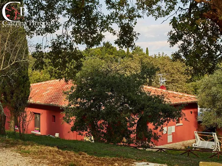 Immagine 84 di Villa in vendita  in località Somboli 210 a Monte San Savino