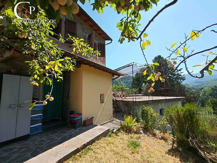 Immagine 28 di Casa indipendente in vendita  in via di Poggio 1 a Londa