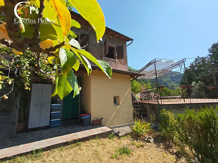 Immagine 29 di Casa indipendente in vendita  in via di Poggio 1 a Londa