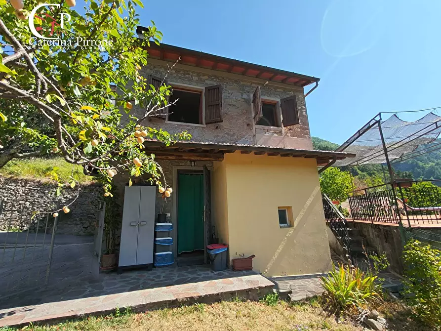 Immagine 32 di Casa indipendente in vendita  in via di Poggio 1 a Londa