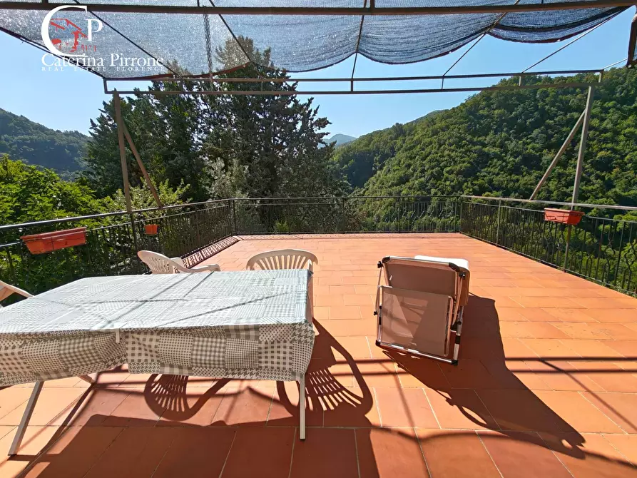 Immagine 34 di Casa indipendente in vendita  in via di Poggio 1 a Londa